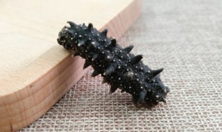 清汤海参怎么做（清汤海参怎么做才好吃）