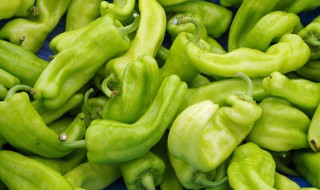 尖椒牛肉怎么做（尖椒牛肉怎么做好吃）