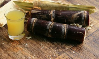 蔗怎么读（蔗怎么读音）