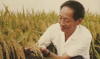 袁隆平怎么读 袁隆平是什么字