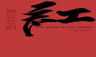 被软禁的红讲的什么（被软禁的红内容）