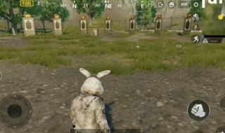 刺激战场兔子皮肤去哪找（刺激战场小兔子衣服怎么获得）