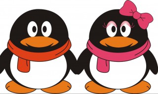 QQ怎么弄整张头像 怎么把整张照片设为QQ头像