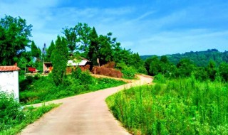 农村耕地树遮阴怎么解决（耕地旁边有树木遮阴违法吗??）