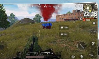 吃鸡枪标准设置（吃鸡的基本设置）