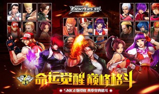 拳皇觉醒平民最强阵容 拳皇觉醒平民搭配