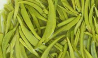 毛尖的功效与作用(毛尖的功效与作用禁忌)