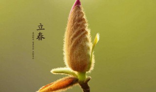 打春是什么意思打的是 打春是什么?