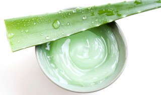 芦荟胶的功效和作用是什么（芦荟胶的功效与作用有哪些）