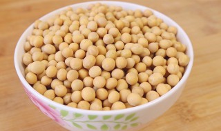 什么情况应该多吃黄豆 什么情况应该多吃黄豆粉