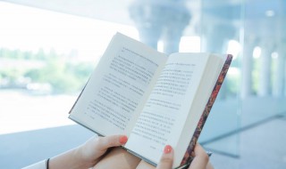 惠崇春江晚景描述的是什么 惠崇春江晚景描述的是什么画