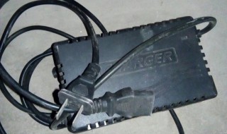 彪牌603Z电动车用多大充电器