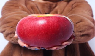 世界上最大的苹果在哪里 世界最大苹果出产地是哪里
