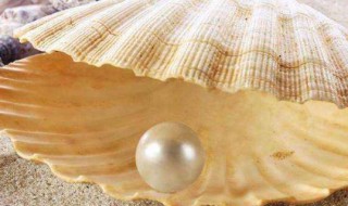 珍珠粉可以加入洗面奶使用吗 洗面奶能和珍珠粉混在一起使用吗