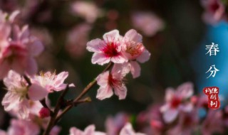 2020年春分天气冷吗 2021年春分后天气还会冷吗