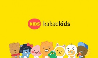 kakao输入手机号无法连接服务器 安卓手机kakao无法连接到服务器