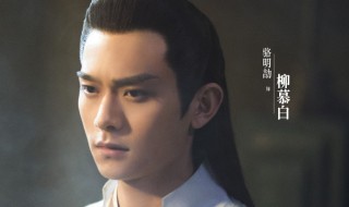 大主宰柳慕白最后是黑化成反派了吗 大主宰柳慕白是好人还是坏人