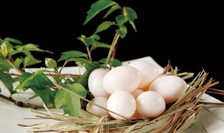 鸽蛋拿了怎么保存 鸽蛋拿出来怎么保存
