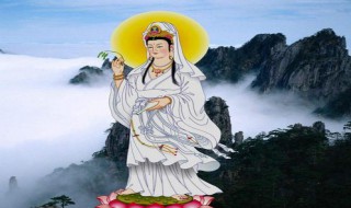 观世音菩萨坐的是什么植物（观音菩萨喜欢什么植物）