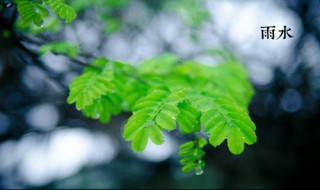 24节日雨水是什么意思（雨水是什么节日?）