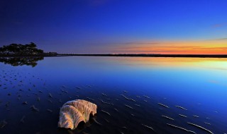 抖音网红是怎么练成的 怎么样成为抖音网红