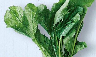 萝卜叶子有没营养(萝卜叶子有什么用处)