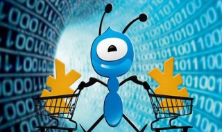 借呗开通成功没有额度 借呗申请借款需要满足什么条件