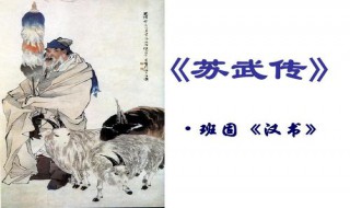 苏武传原文翻译赏析注释（苏武传原文及翻译对）