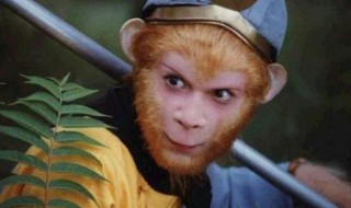 孙悟空手拿金箍棒脚踏筋斗云运用了什么描写? 孙悟空名字由来