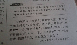 文言文鹦鹉的全部翻译及原文 文言文鹦鹉的全部翻译及原文注释