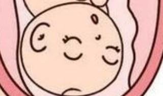 前壁和后壁有什么区别? nt前壁和后壁有什么区别