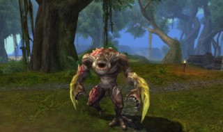 森林打boss怎么走 森林怎么去找boss