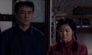 小麦启生是什么电视剧（小麦和启生是什么电视剧）