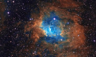 手可摘星辰原著结局是什么（手可摘星辰剧情简介）