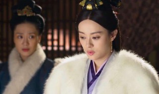 芈月是秦始皇的谁（芈月是秦始皇的谁的后代）