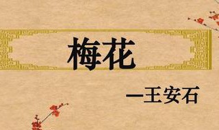 梅花王安石古诗原文 梅花王安石古诗文网