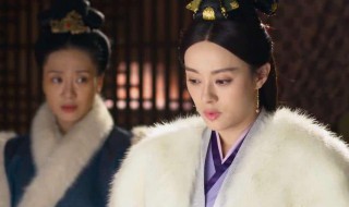 芈月的儿子是秦始皇吗（秦始皇是芈月的孙子）