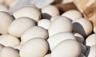 男人吃鹅蛋有什么好处 男人吃鹅蛋有什么好处和功效