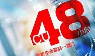 icu48小时小说大结局 icu48小时小说好看吗