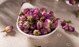 玫瑰花泡水一次放几朵(玫瑰花泡水一次放几朵最合适)