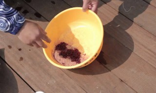 拉丝粉如何配红虫（拉丝粉配红虫怎么用）