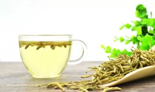 金银花哪五种人不能喝 金银花什么样的人不能吃