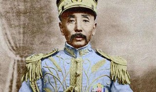 张作霖穿便衣查岗是哪一集 少帅张作霖便衣查岗是第几集