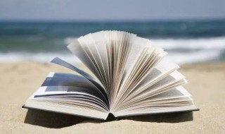 舅舅和外甥女的关系称谓怎么填写（舅舅和外甥女的关系称谓怎么填写两个字）