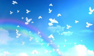 飞鸽互联换手机号码了怎么办(飞鸽互联的手机号不能重新注册)