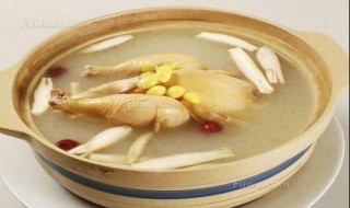 如何炖鸡汤 如何炖鸡汤鲜美