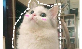 如何处对象怎么处 如何处对象?