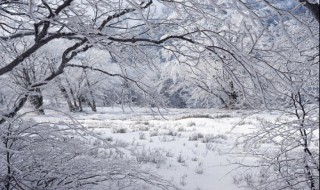 梦见地里白白霜是什么意思 梦见地里白白霜是什么意思呀