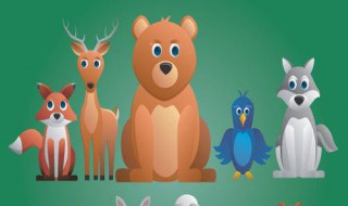 夜鹰之星表达了什么（夜鹰之星的主要内容）