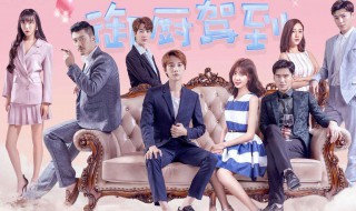 一个御厨找他师兄是什么电视剧 厨师南师傅电视剧